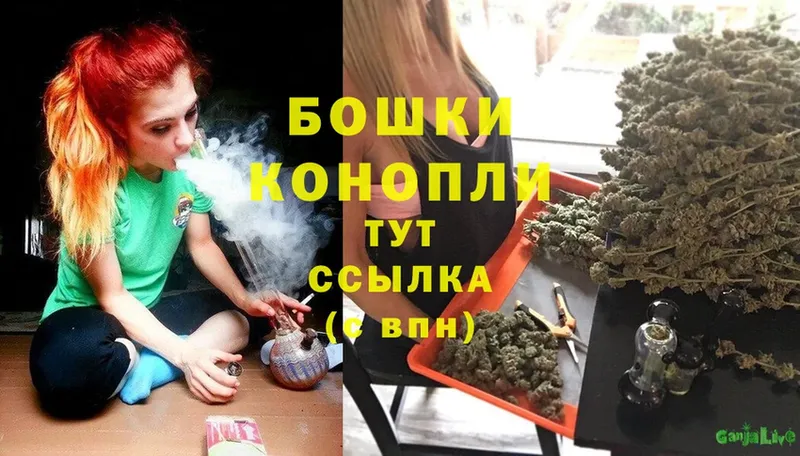 Бошки марихуана сатива  продажа наркотиков  Волхов 